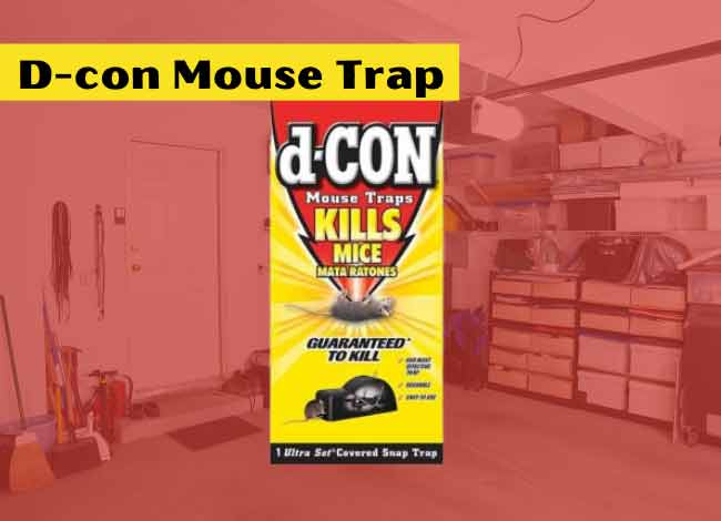 D-con Mouse Trap